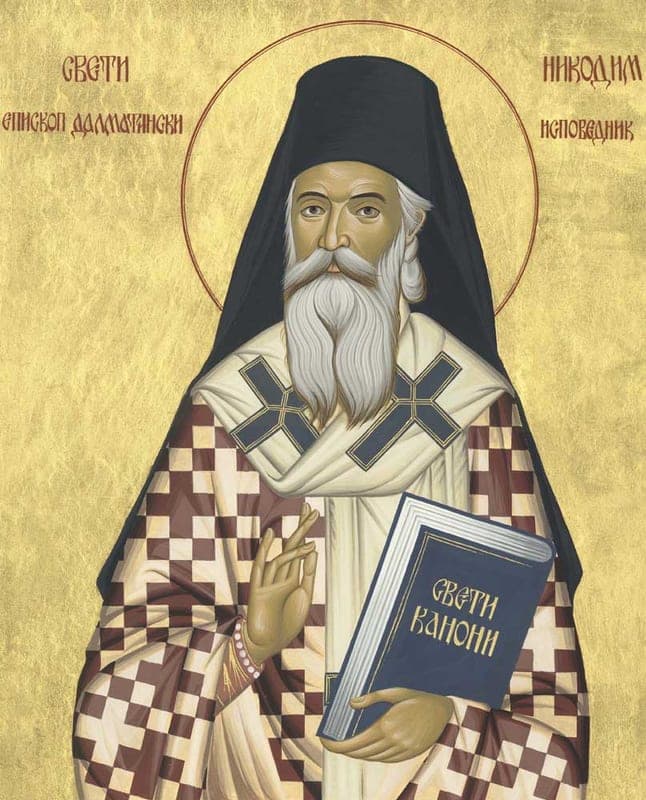 Šventasis Nikodemas (Milashas), Dalmatinas ir Istrijos